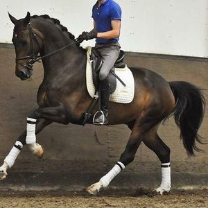 Meet your Posher, Matt